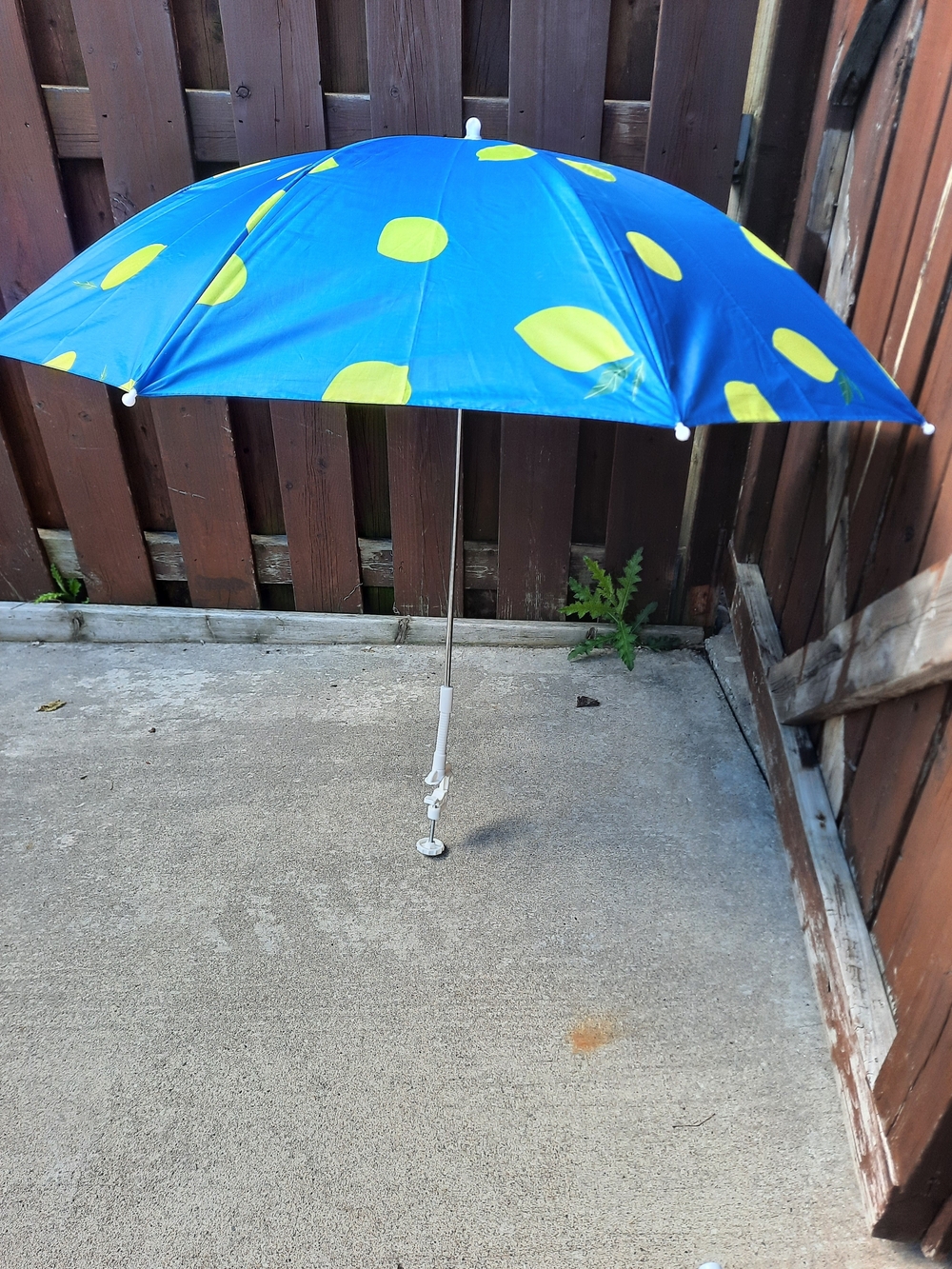 NWT Beach Patio Chair Clamp Umbrella Blue & Lime Polka Dot UPF 50🌞